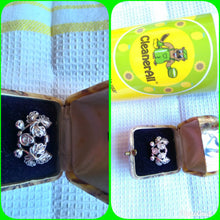 Load image into Gallery viewer, CleanerAll Ecological Multipurpose Cleaner 500ml (17oz)