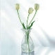 Folding Vase LE SACK Trendform Choice Color